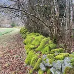 Hissala, Vue Et Sauna Шале