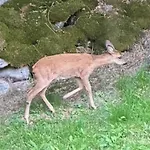 Hissala, Vue Et Sauna Шале Жерарме