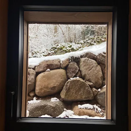 Hissala, Vue Et Sauna Gérardmer