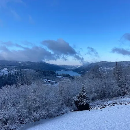 Hissala, Vue Et Sauna シャレー ジェラールメ