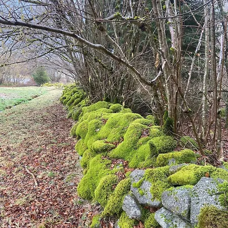 Hissala, Vue Et Sauna Horská chata