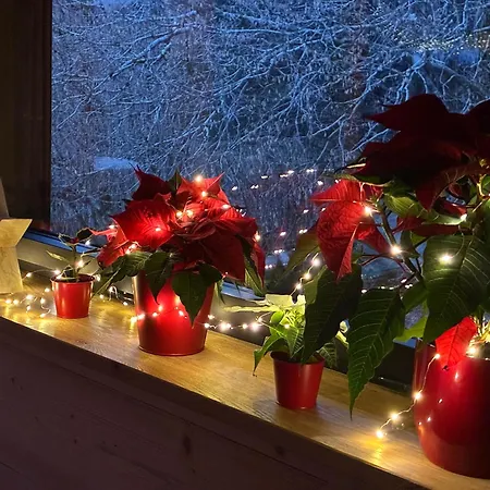 Hissala, Vue Et Sauna Chalet Gérardmer