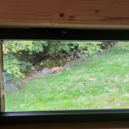 Hissala, Vue Et Sauna シャレー *
