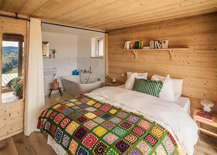 Hissala, Vue Et Sauna Gérardmer