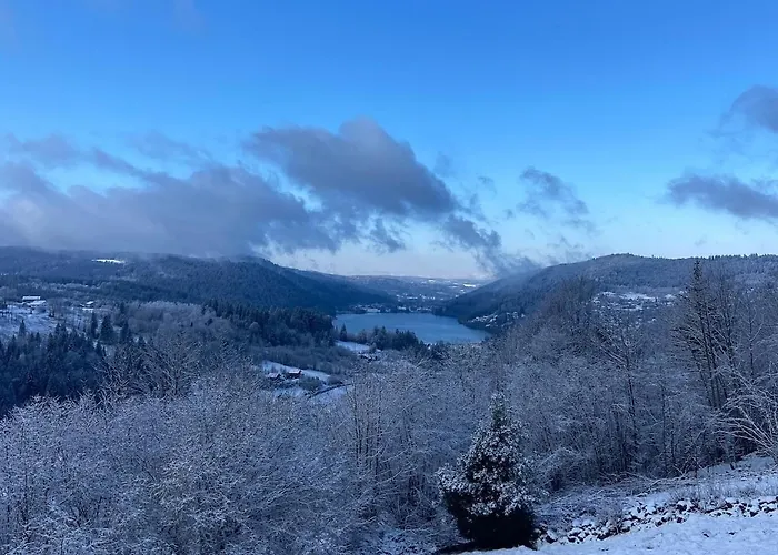 Hissala, Vue Et Sauna Σαλέ Gérardmer