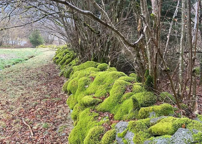 Hissala, Vue Et Sauna Chalet