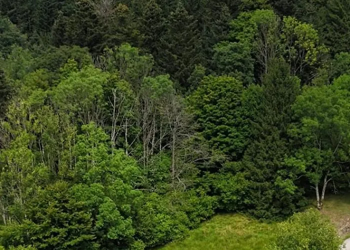 Chalet Hissala, Vue Et Sauna Gérardmer