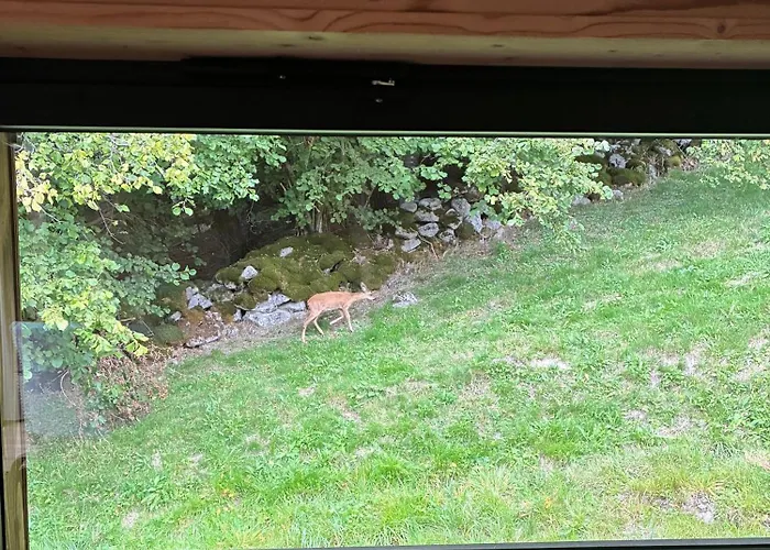 Hissala, Vue Et Sauna Chalet *